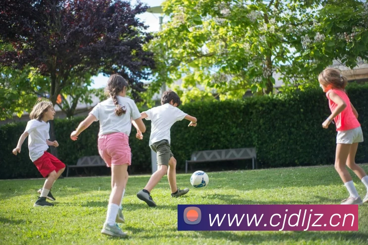 米兰官网入口平台生态图